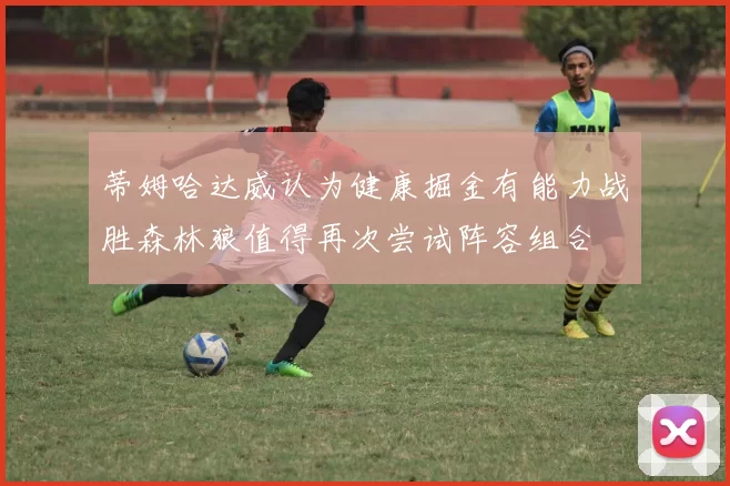 蒂姆哈达威认为健康掘金有能力战胜森林狼值得再次尝试阵容组合